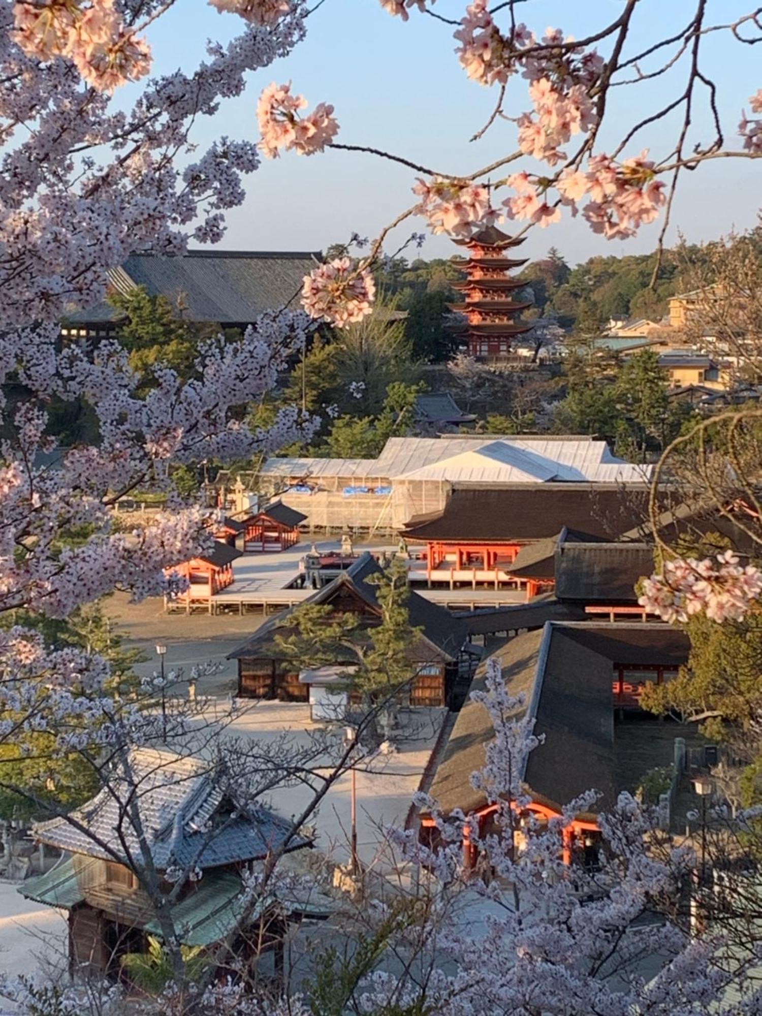 宮島 町家宿 進龍庵 Hatsukaichi Zewnętrze zdjęcie